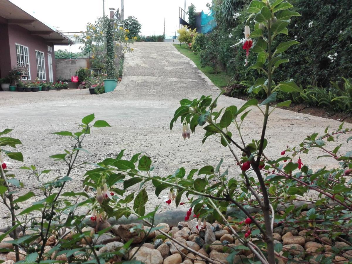 נוארה אליה Keshiya Holiday Home מראה חיצוני תמונה