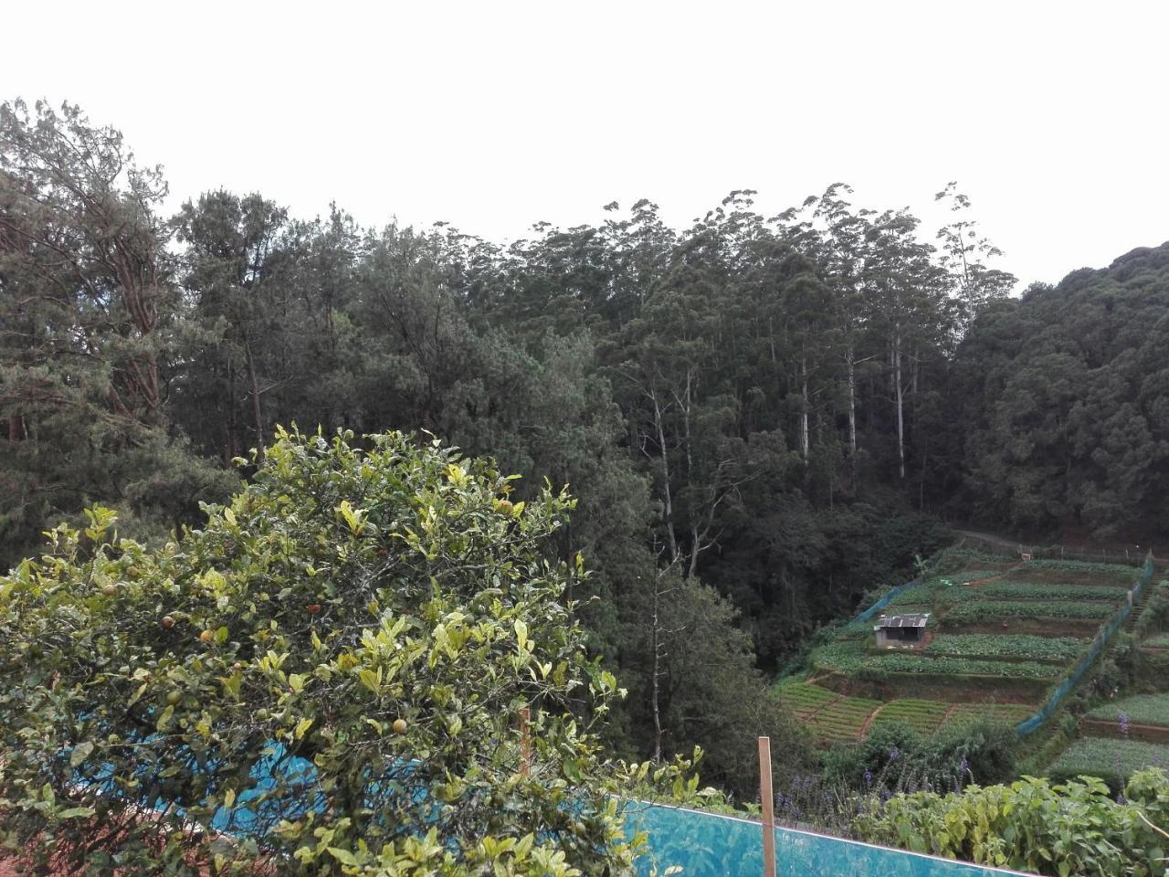 נוארה אליה Keshiya Holiday Home מראה חיצוני תמונה